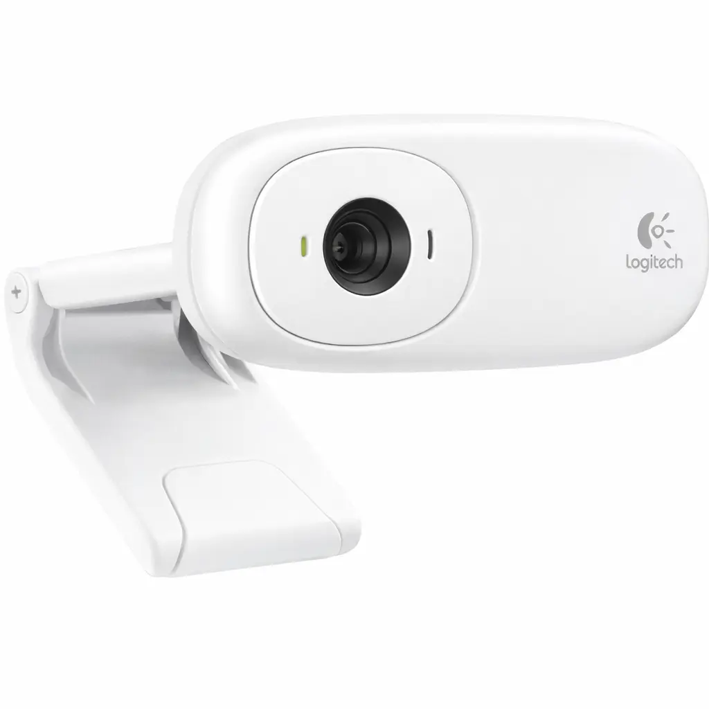 Logitech C110 Webcam